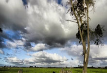 开云体育app-独行侠完胜中国男篮，巴恩斯惊艳世界