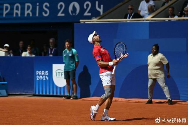 包含法国网球队逆转意大利网球队，德约科维奇惊艳世界的词条